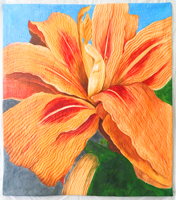 Hemerocallis